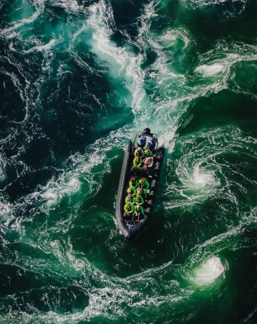 Bodø: Saltstraumen Sea Eagle Trip by RIB - Key points to know before you book