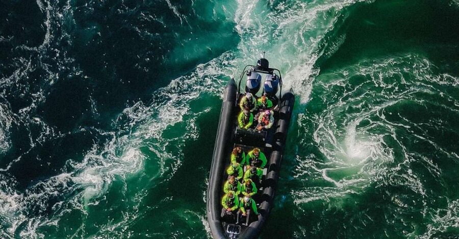 Bodø: Saltstraumen Sea Eagle Trip by RIB - The first run toward Saltstraumen