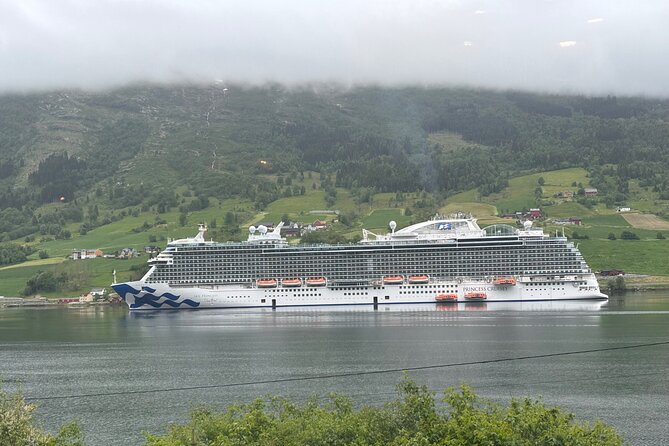 Briksdal Glacier and Loen Skylift day Excursion - Key points to know before booking