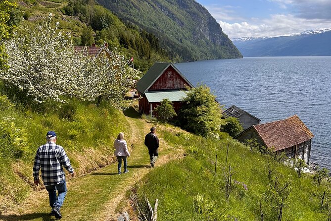 Briksdal Glacier and Loen Skylift day Excursion - Olden Lake picnic with Norwegian specialties