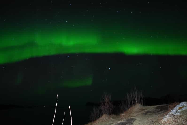 Chase the Magic of the Northern Lights in Tromsø Norway - Key points to know before booking