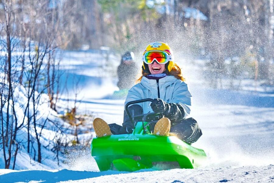 Dagali: 2-Hour Racing Toboggan Adventure - The best parts of the experience