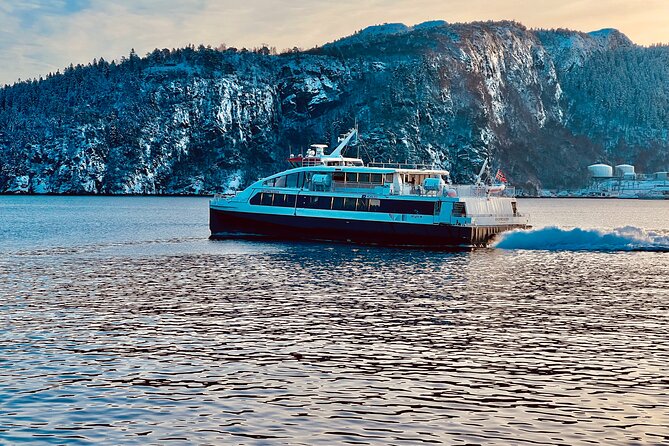 Discover Bergen on Foot and Boat - The 30-minute ferry changes the view