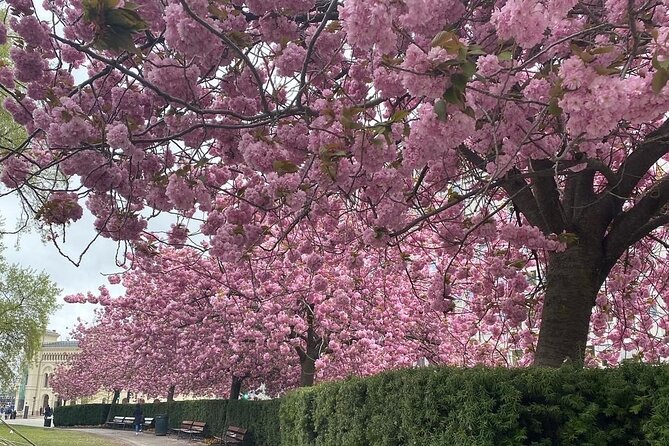 Discover Oslo on foot - What makes Marcela Orsini’s guiding style useful