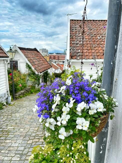 Discover Private+ Stavanger Guided City Tour - The city corners and views you will seek out