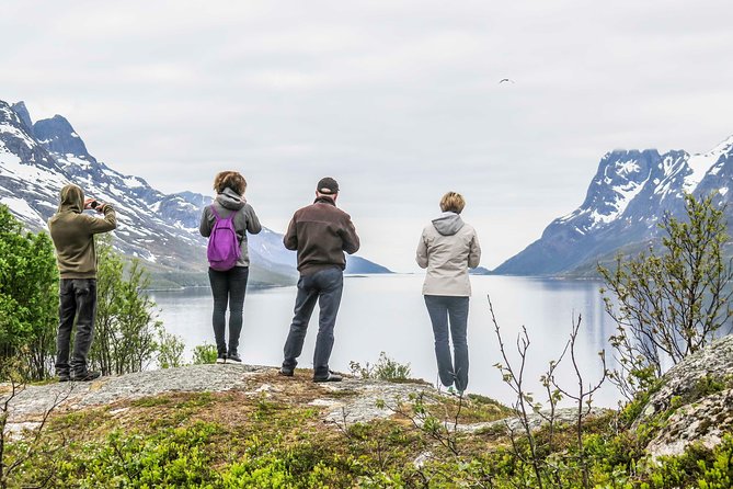 Discover the Fjords of Kvaloya - a roadtrip along fjords and fishing villages - The route across Kvaløya