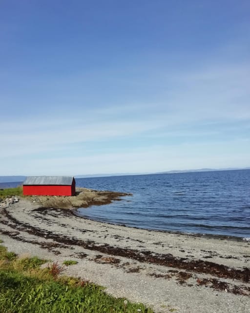 Discovery hike along the Trondheimsfjord - Why the Ladestien works so well