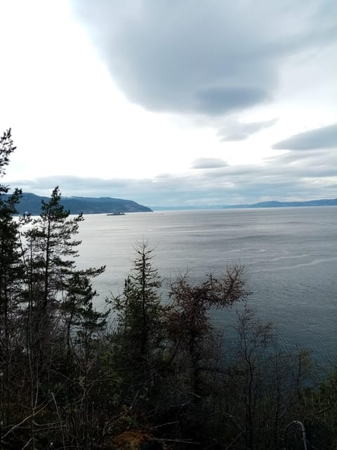 Discovery hike along the Trondheimsfjord - Devlebukta and the final stretch