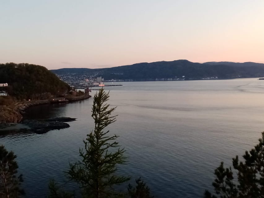 Discovery hike along the Trondheimsfjord - What Gaël adds to the outing