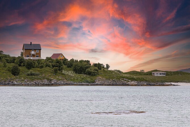 Discovery tour of the island of Senja and Kvaløya from Tromsø - Who will enjoy this Senja and Kvaløya tour?