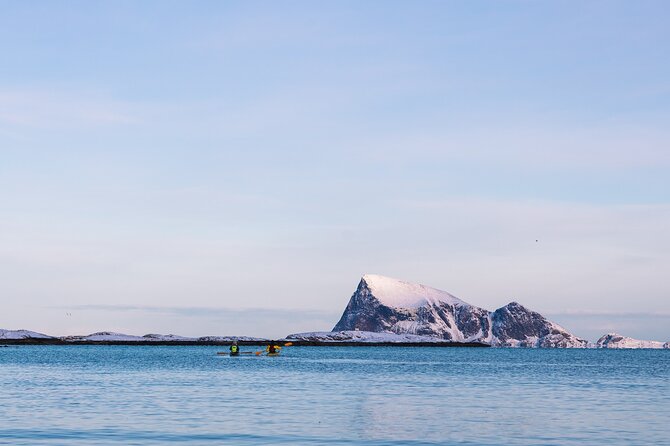 Discovery tour of the island of Senja and Kvaløya from Tromsø - What the small group changes