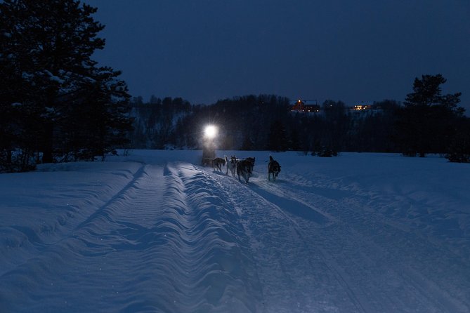 Dog Sled Tour and Husky Cuddles - Learning to handle a dog team