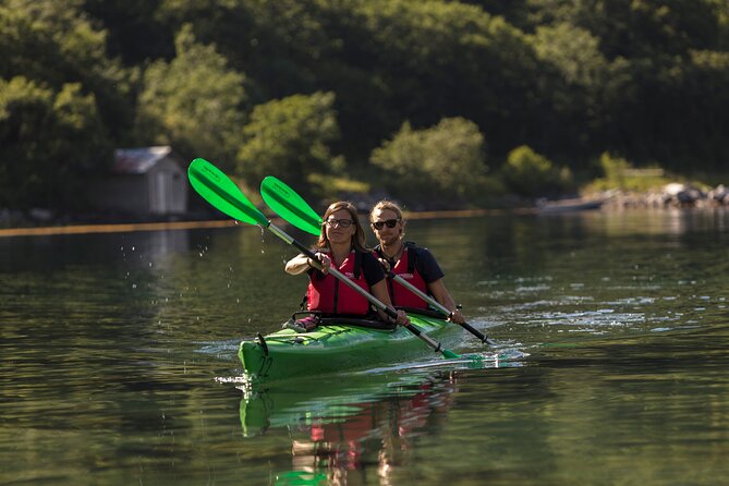 Double Kayak Rental in Geiranger (Excursions.no) - Key points to know before you paddle