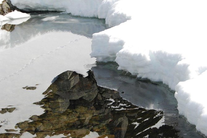 Eco friendly snowshoeing in Scenic Landscape - Tromso Cathedral, local crafts, and Magic Ice