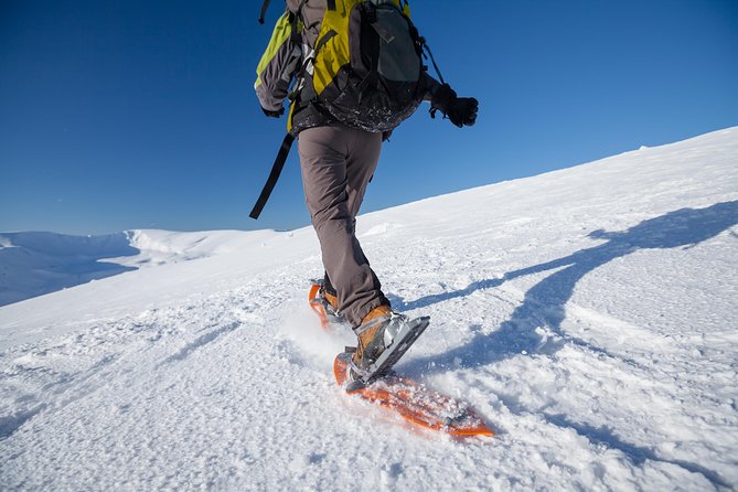 Eco friendly snowshoeing in Scenic Landscape - Riding through Tromso in an Arctic Tesla