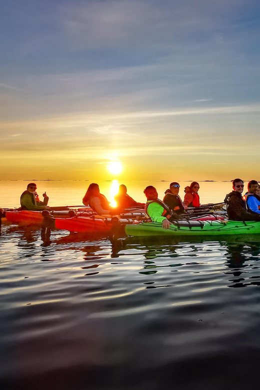 Eggum: Lofoten Islands Midnight Sun Kayak Tour - Wildlife and the open-water view
