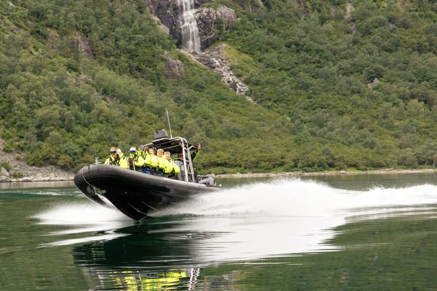 Eidfjord: 1-Hour Fjord RIB Tour - Goats at the boat and wildlife on the water