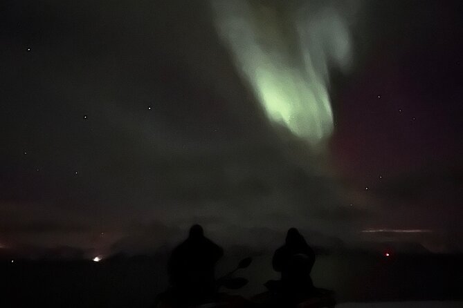 Evening Tour and Aurora Borealis Sightseeing in Norway by ATV - Who should book this tour?