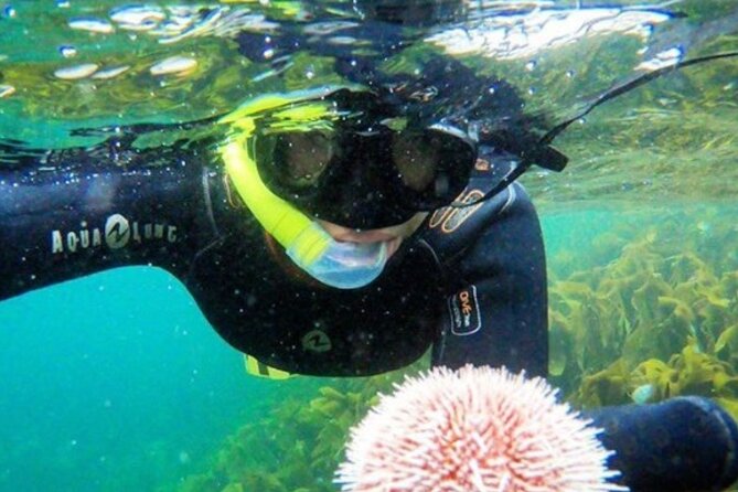 Family Snorkeling Tour - Key points to know before you book