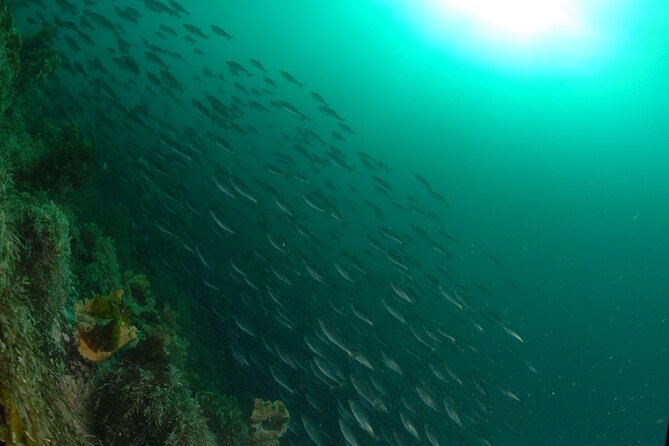 Family Snorkeling Tour - A practical three-hour plan