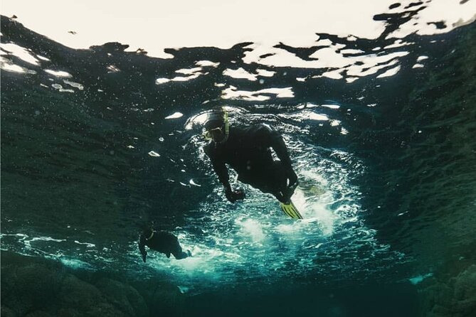 Family Snorkeling Tour - The boat ride is part of the experience