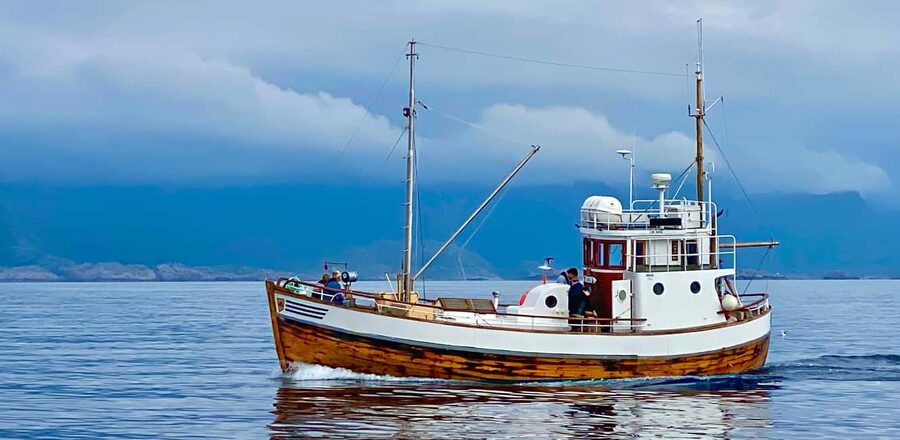 Fishing trip from Henningsvær - Why the Viking connection adds meaning