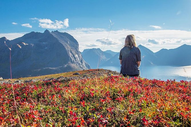 Fjord Expedition: Arctic Adventure Awaits - Winter clothing can make or break the outing