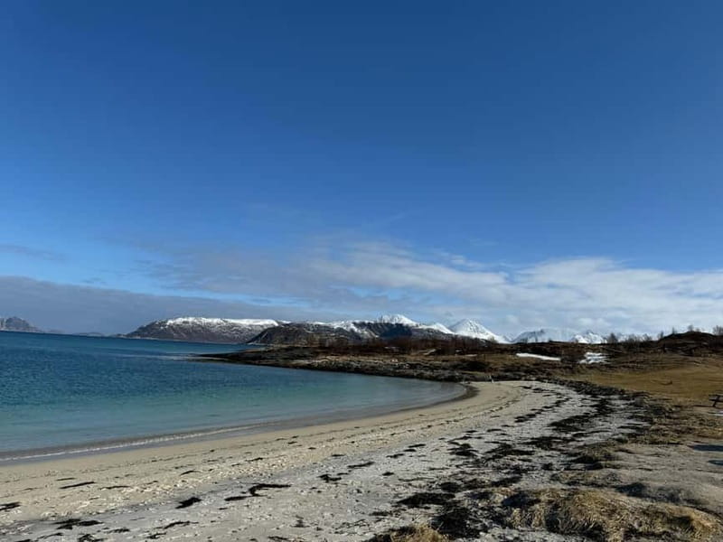 Fjord Foto Tour to Sommaroy (Roadtrip) - Why the $159 price can make sense