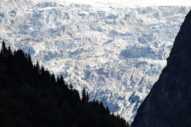 Fjord & Glacier Tour - From VOSS - Key details before you book