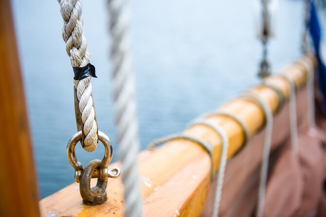 Fjord & History Cruise - Local stories, boat history, and wildlife