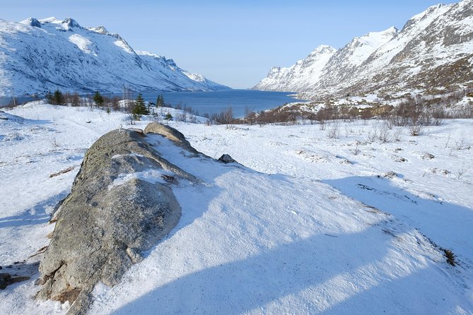Fjord, Mountain and Wildlife Tour - Why the fjords make this a worthwhile half-day