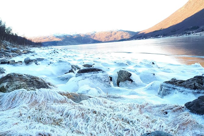 Fjord, Mountain and Wildlife Tour - Blåmannsvika and Skjellsvika for quick photo stops