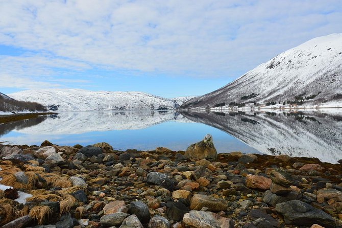 Fjord, Mountain and Wildlife Tour - Is $123.78 good value?
