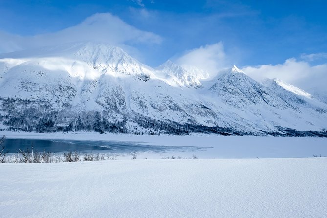 Fjord, Mountain and Wildlife Tour - Kaldfjord and Ersfjord: the main scenery begins