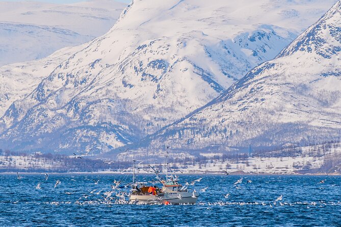 Fjord Safari in the Altafjord - Who should book this safari