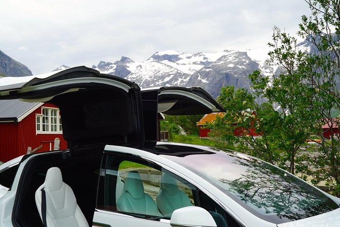 Fjord Sightseeing - Eco friendly Tesla Model X - Fjords, mountains, and wide-open views