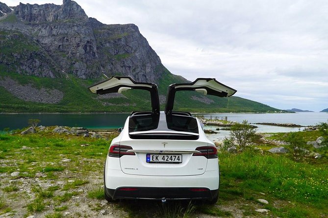 Fjord Sightseeing - Eco friendly Tesla Model X - Coffee, cake, and a practical pause