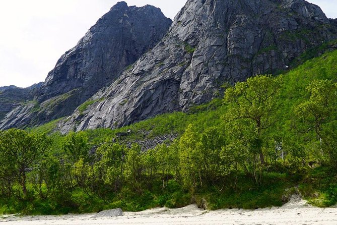Fjord Sightseeing - Eco friendly Tesla Model X - Is $171.16 a fair price?