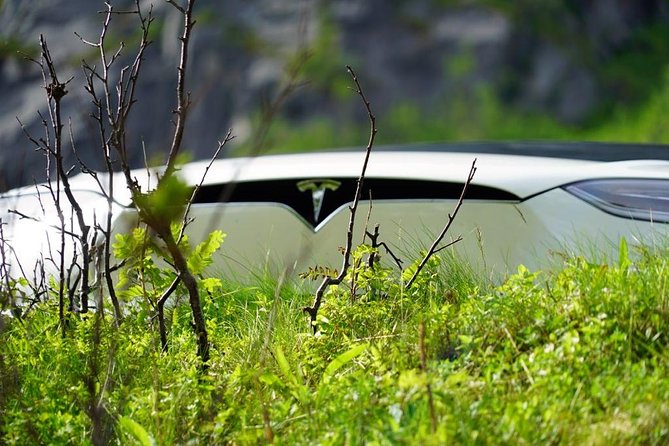 Fjord Sightseeing - Eco friendly Tesla Model X - What a private tour really means here