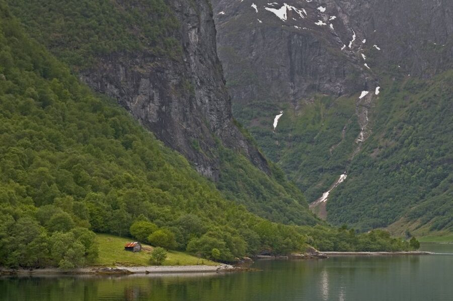 Fjords: Private Trip with Train and Cruise Ride - Riding the Bergen Railway toward Flåm
