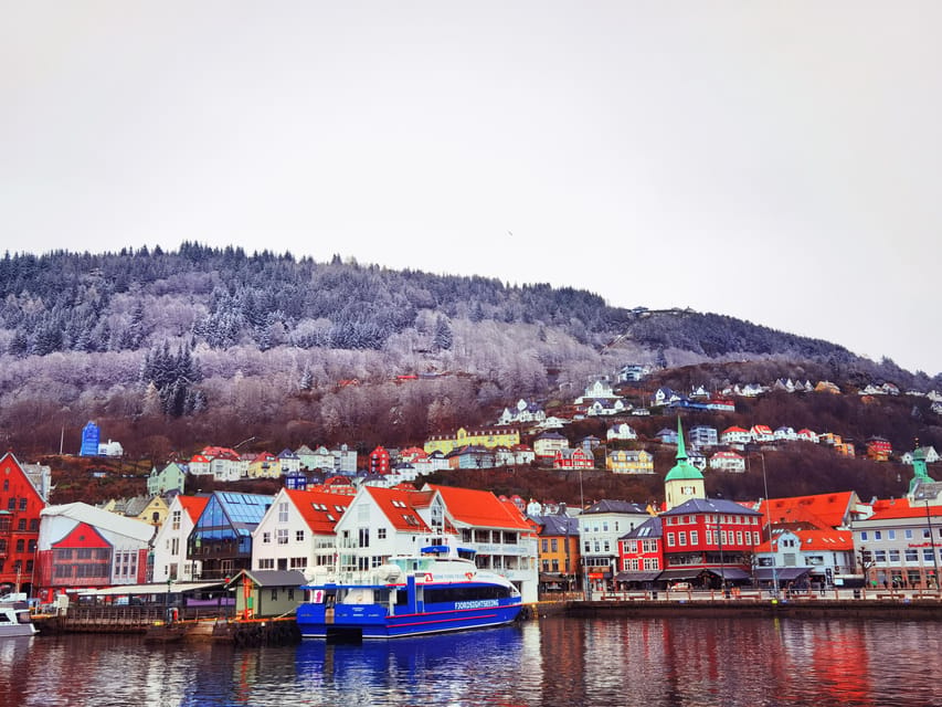 Flåm Flexible Tour with Stegastein, cruise and train include - Gudvangen and the Nærøyfjord cruise