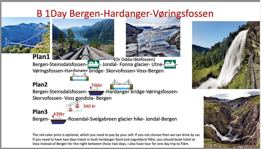 Flåm Flexible Tour with Stegastein, cruise and train include - Flåm, with a train ride instead of a quick photo stop