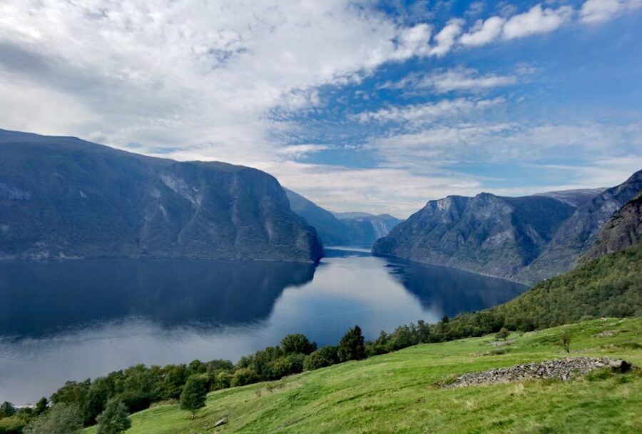 Flåm Flexible Tour with Stegastein, cruise and train include - What Liam’s guiding style adds