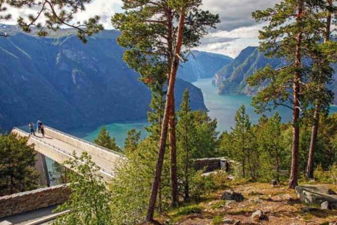 Flam: The Spectacular Stegastein Viewpoint Tour (Small Group) - A small van, a difficult road, and changing group sizes