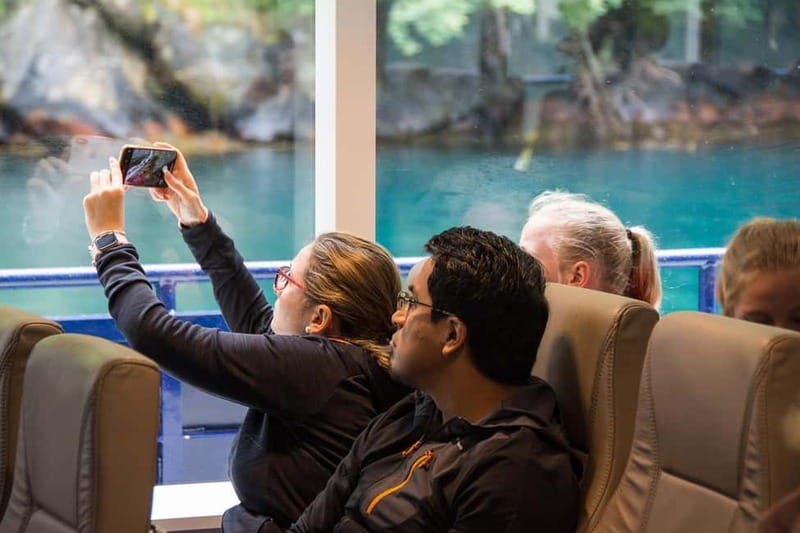 From Ålesund: Round Trip Fjord Cruise to Geirangerfjord - Who will enjoy this day trip most?