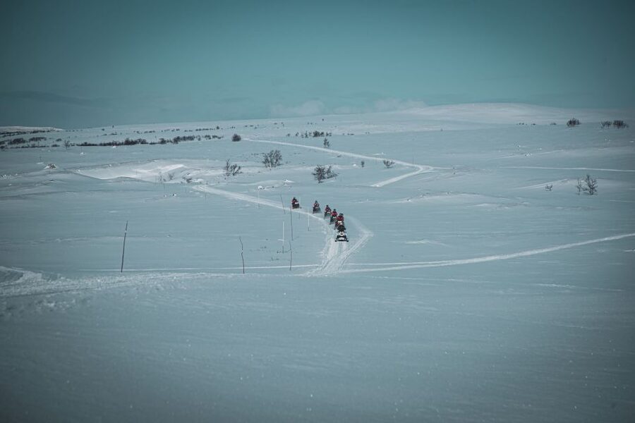 From Alta: Daytime Snowmobile Adventure - Arctic life, local food, and the value of the guide