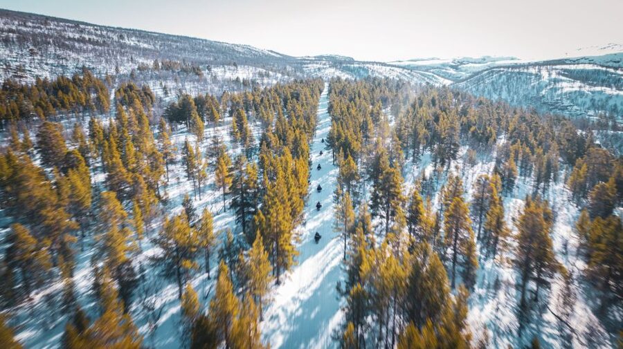 From Alta: Daytime Snowmobile Adventure - Should you book it?