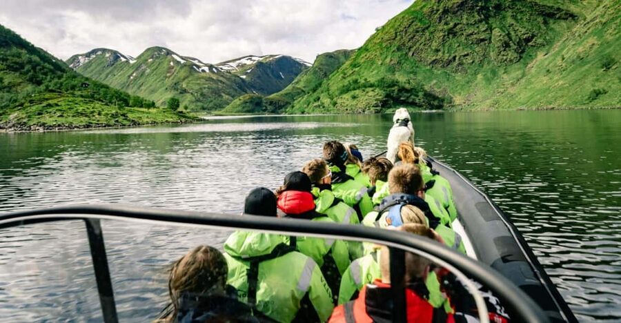 From Alta: Experience Seiland National Park - Crossing Altafjord by RIB