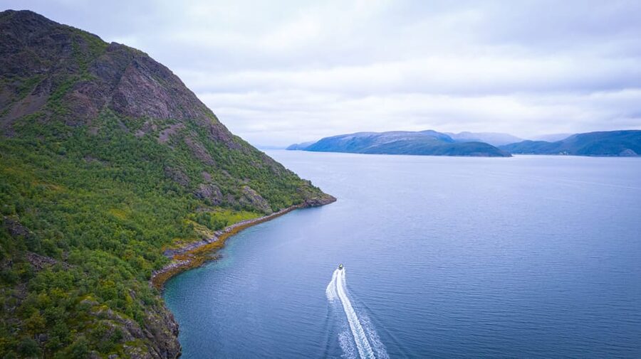 From Alta: Experience Seiland National Park - Wildlife, flowers, and northern ice