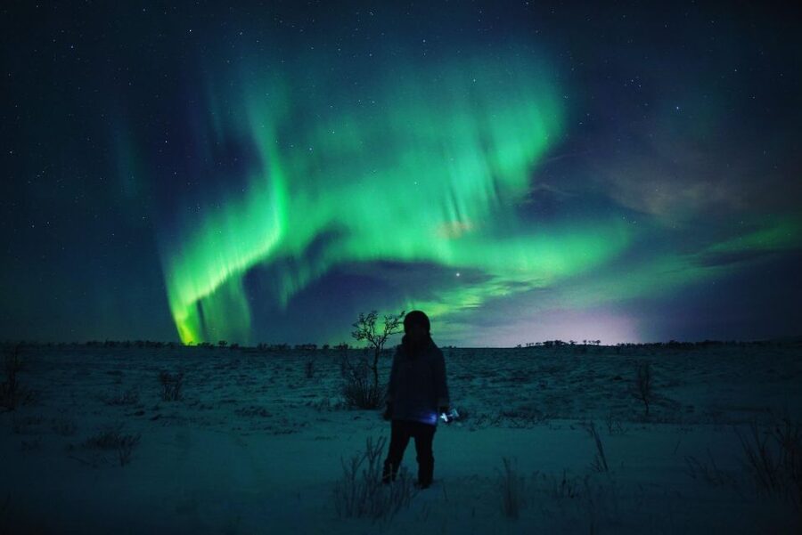 From Alta: Nighttime Northern Lights Spotting Tour - Starting at Æventyr Adventure Store in Alta